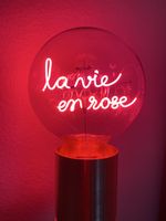 Lampe néon décorative "La vie en rose"