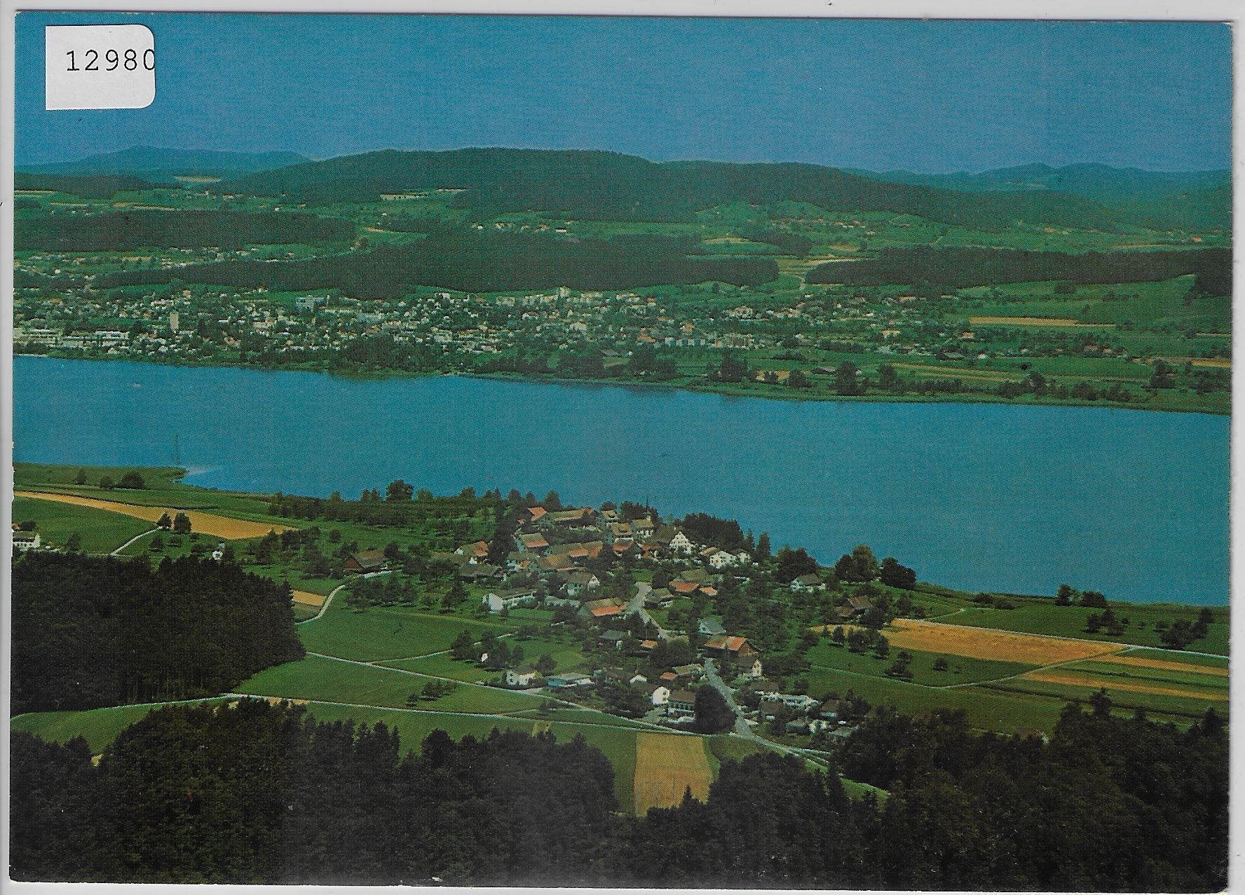 Cartoline postali: Flugaufnahme Seegräben ZH – Antico da Ettingen venduto da Kartenplanet