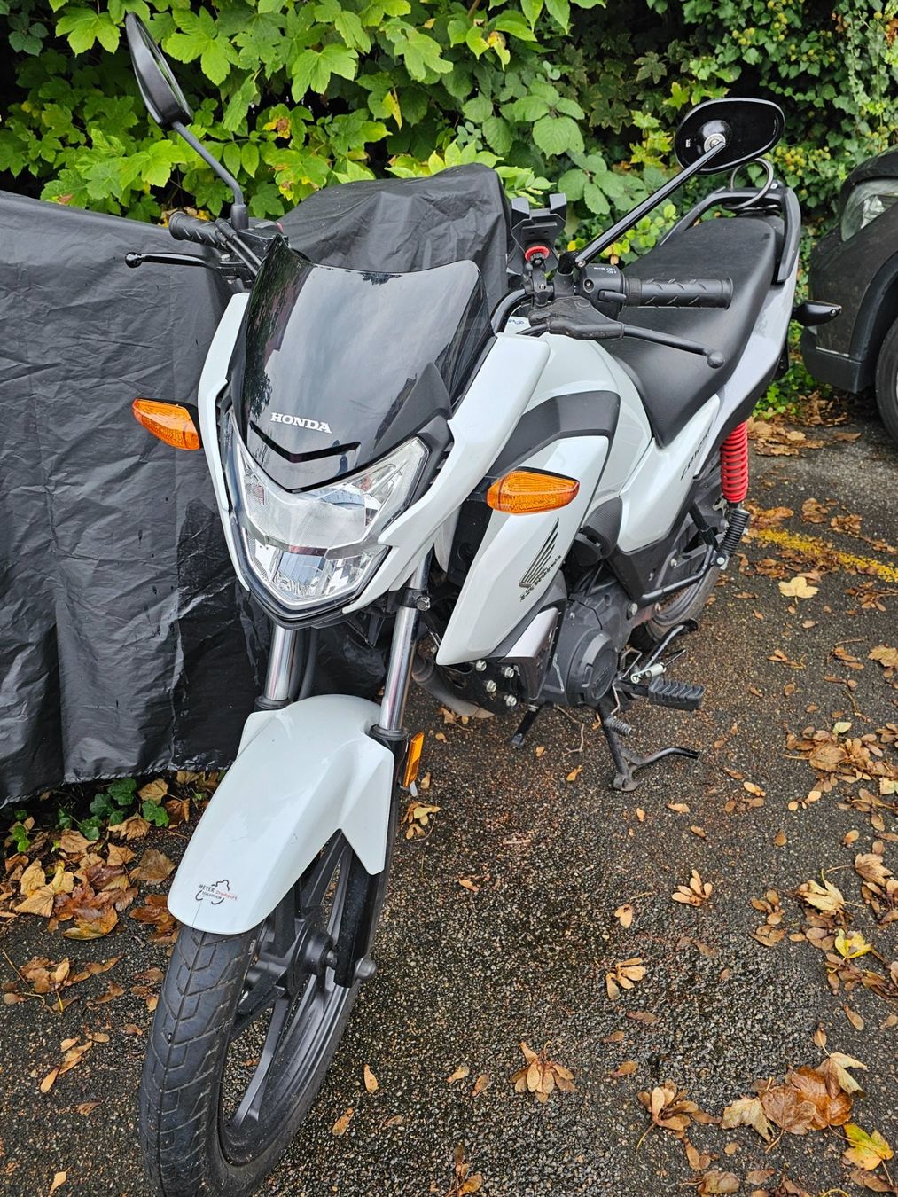 Honda Strada: Honda cbf 125 – Usato da Kreuzlingen venduto da Pau_gcv6 2