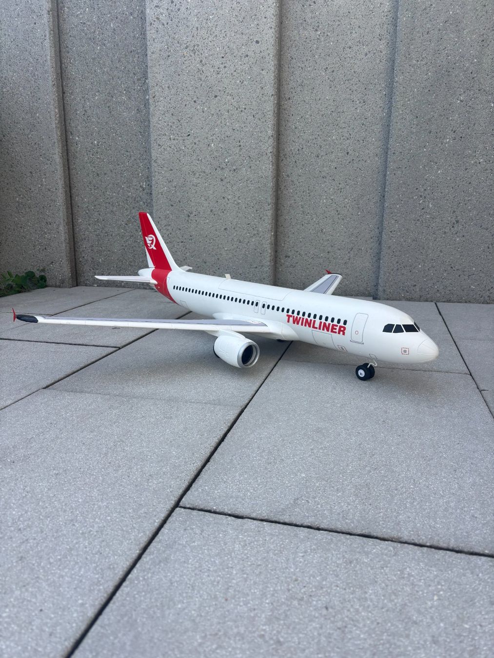 Modellismo RC: Modellflugzeug RC Twinliner – Usato da Wolfhausen venduto da 11Samuel86