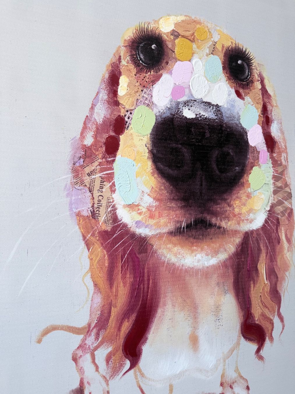 Foto & Immagini: Leinwandbild Hund 90x90 cm – Usato da Wermatswil venduto da FEDN 4