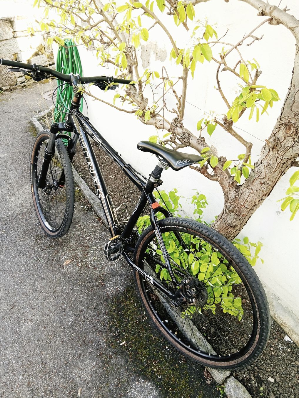 Trek Velos: Trek velo  – Gebraucht aus Wolfhausen von ade_7wvk 1