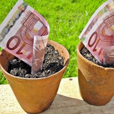Profile image of TipTopBroker2025
