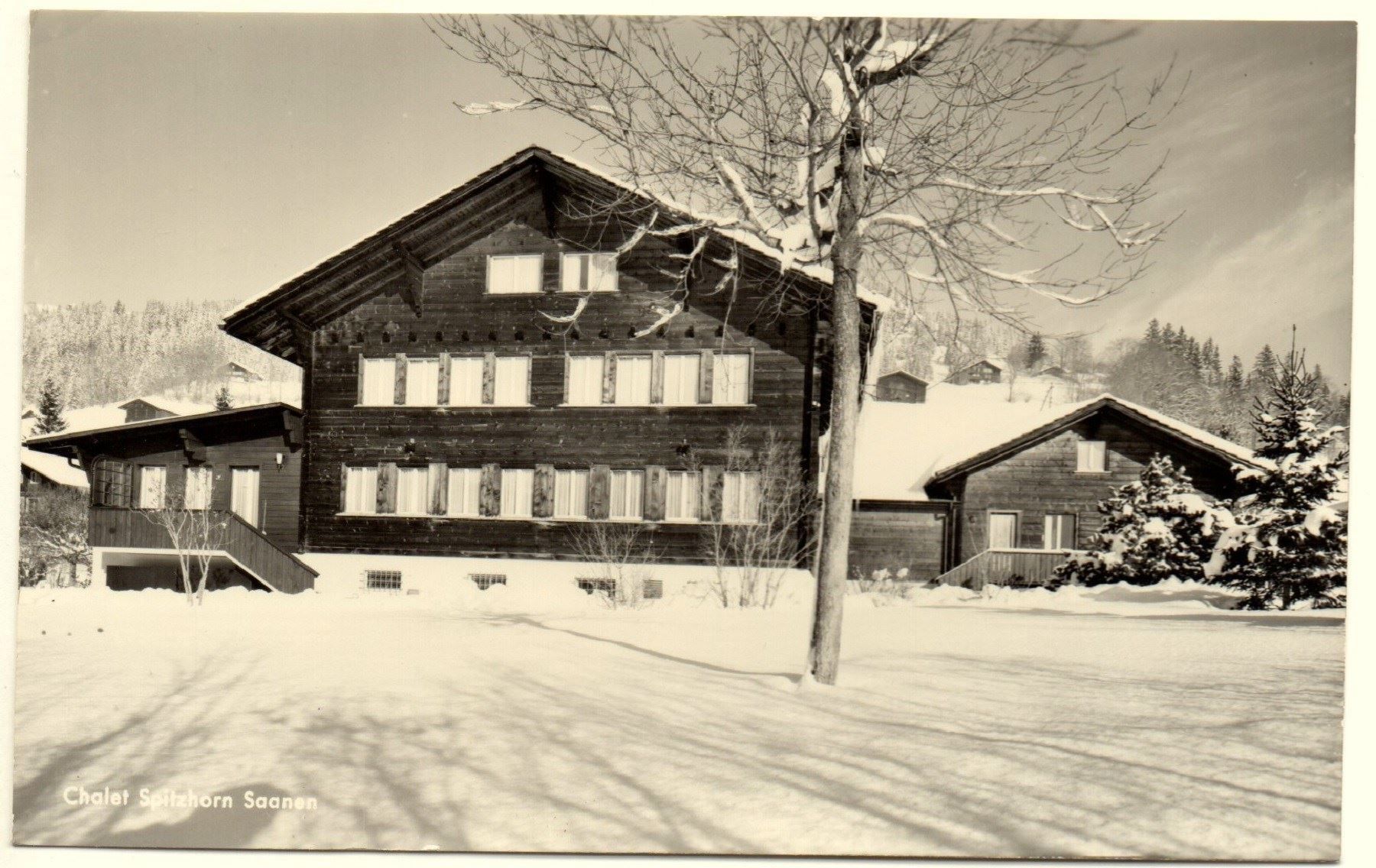 Ansichtskarten: SAANEN Chalet Spitzhorn – Gebraucht aus Jona von philajona