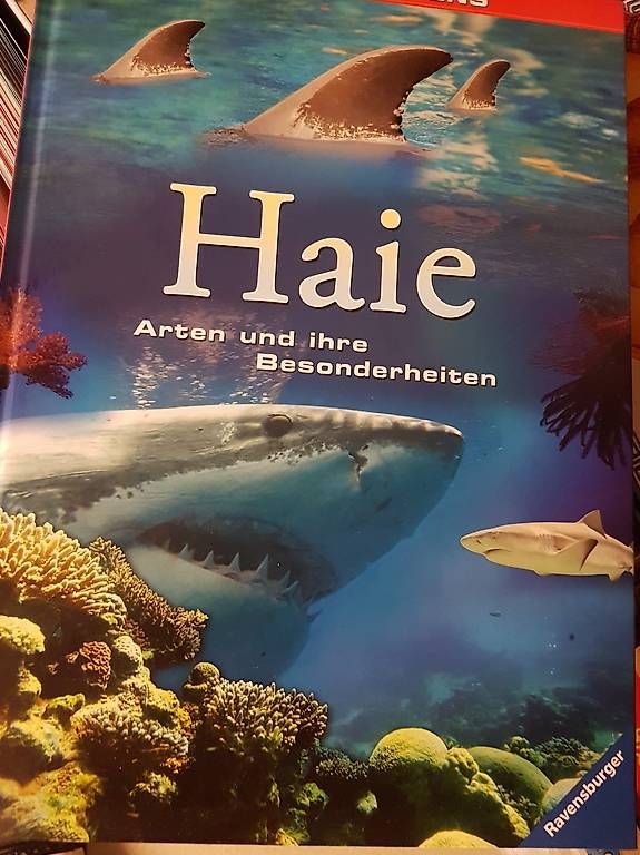 Libri:  Bücher/Kinder – Usato da Nürensdorf venduto da conceicao74 1