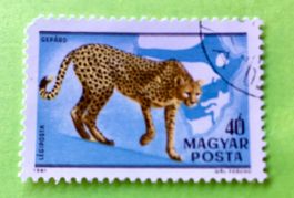 Briefmarken aus Ungarn gestempelt Siehe Original Fotos. 