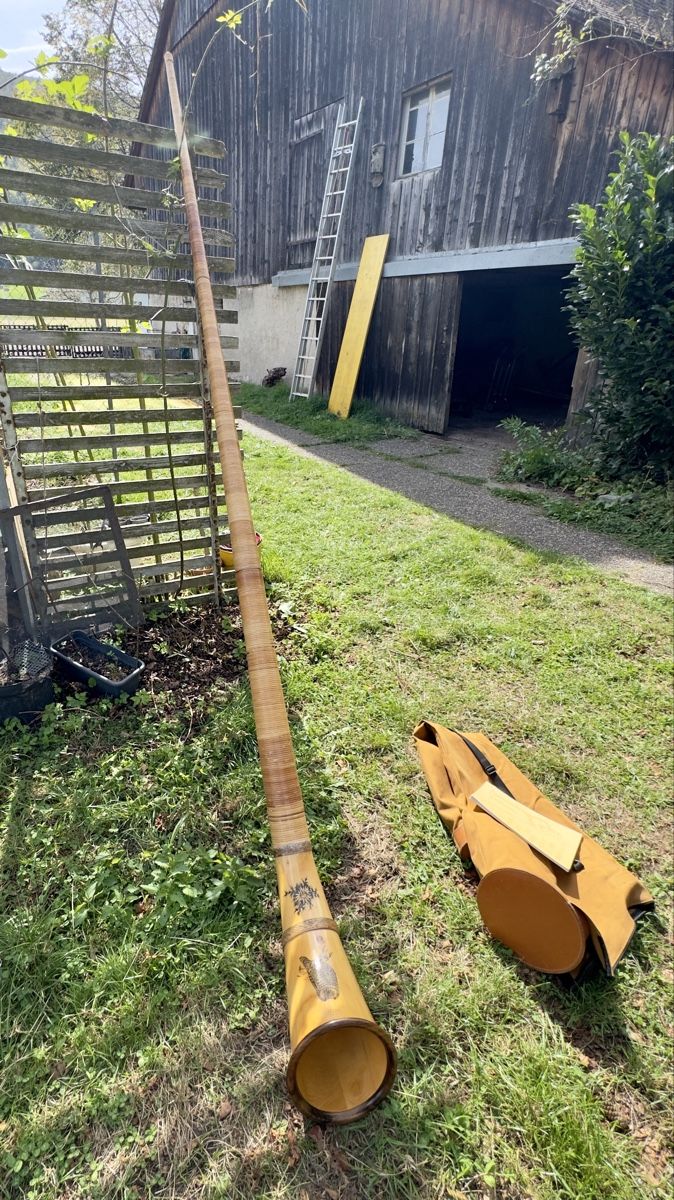 Strumenti musicali: Alphorn Fis – Usato da Herbetswil venduto da Chi_Ste97