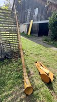 Alphorn Fis
