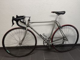 Olmo Vintage Rennrad Campagnolo Stahlrahmen