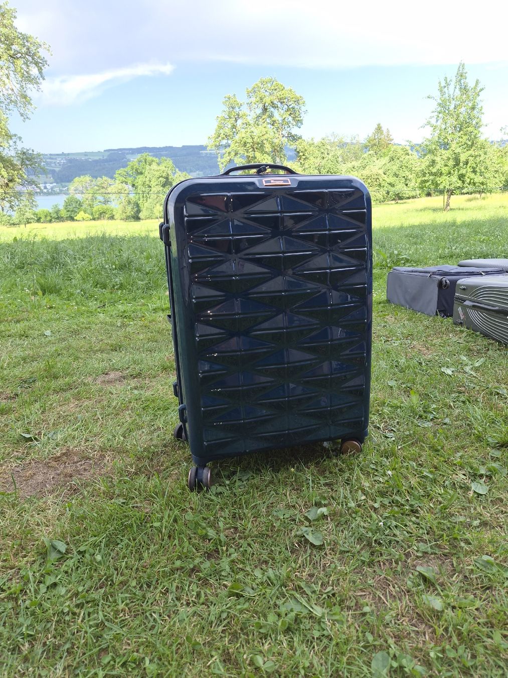 Valigie: IT luggage Koffer – Usato da Hochdorf venduto da TT_GARAGE