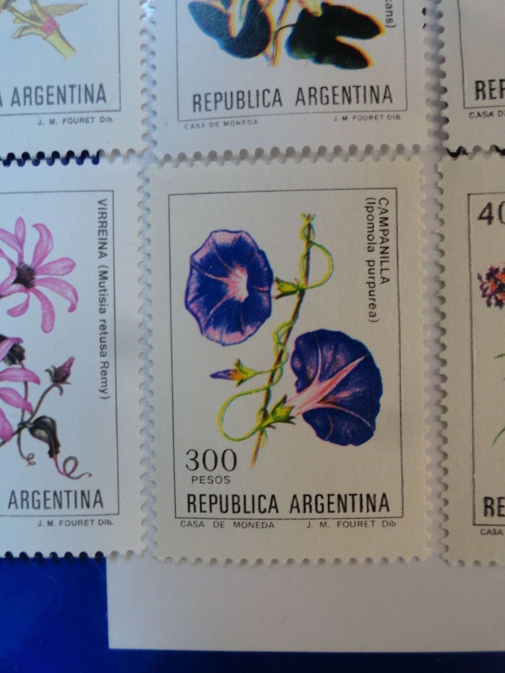 Tous les timbres: Blumenmotive Argentinien. Grosse Abart – Neuf (Voir description) à stäfa par brandy66 2