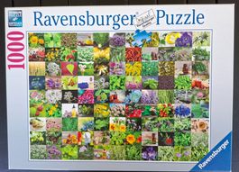 Puzzle Motiv "99 KRÄUTER UND GEWÜRZE"