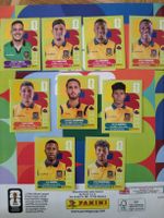 Panini Ecuador Set