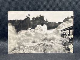Rheinfall mit Fischetz