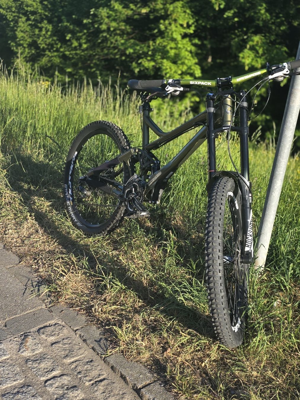 Giant Biciclette: Giant Reigen Downhill – Usato da Wetzikon ZH venduto da Sina1998