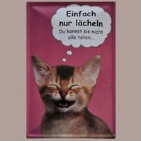 🔥 EINFACH NUR LÄCHELN Katzen Blechschild 🩷 20x30cm OVP 🔥