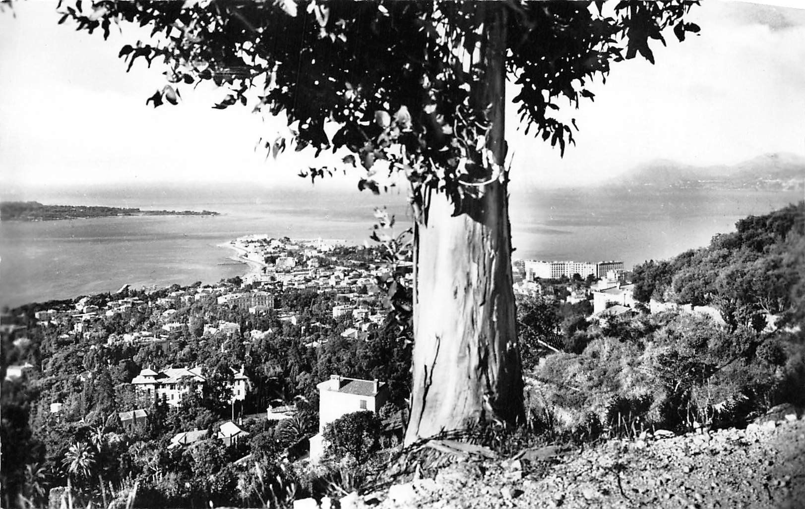 Ansichtskarten: 3x Cannes, La Cote d'Azur – Gebraucht aus Ottikon b.Kemptth. von Neptun1974 4