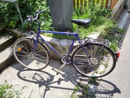 Alpa Citybike (L) in gutem Zustand