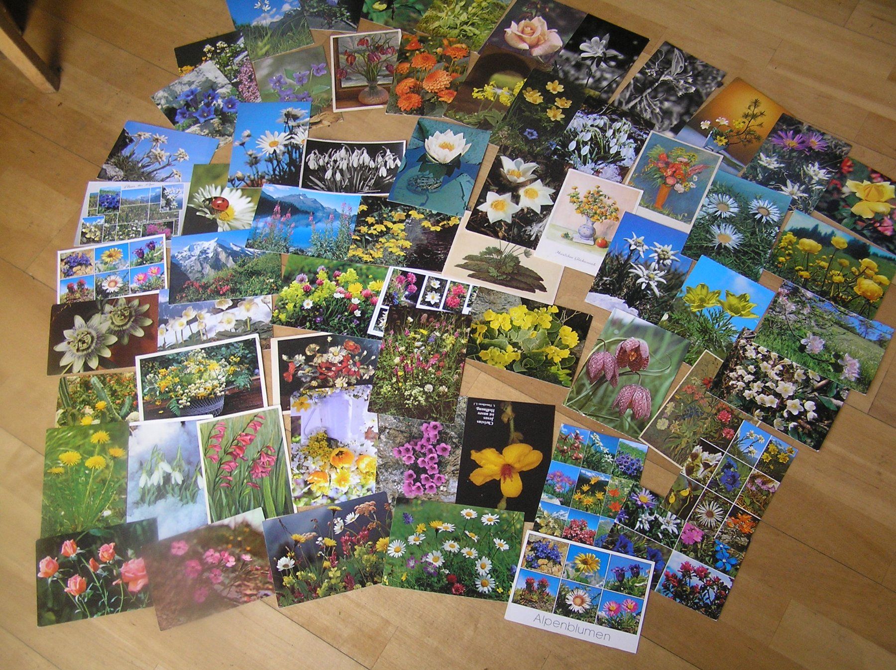Cartoline postali: 200 Gruss - Blumenkarten – Usato da Lumbrein venduto da made02 5