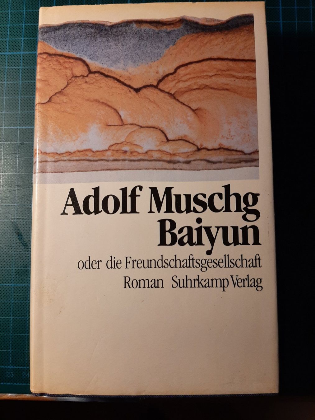 Libri: Adolf Muschg: Baiyun. Roman – Usato da Basel venduto da kouki51