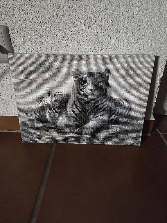 Kits de loisir créatif: Diamond Painting – D'occasion à Schachen b. Reute par jes_69lq