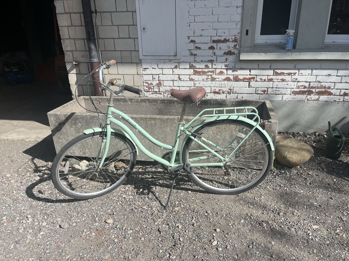 Biciclette: Damen Fahrrad – Usato da Neerach venduto da Cuny13
