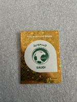 KSA1, Panini