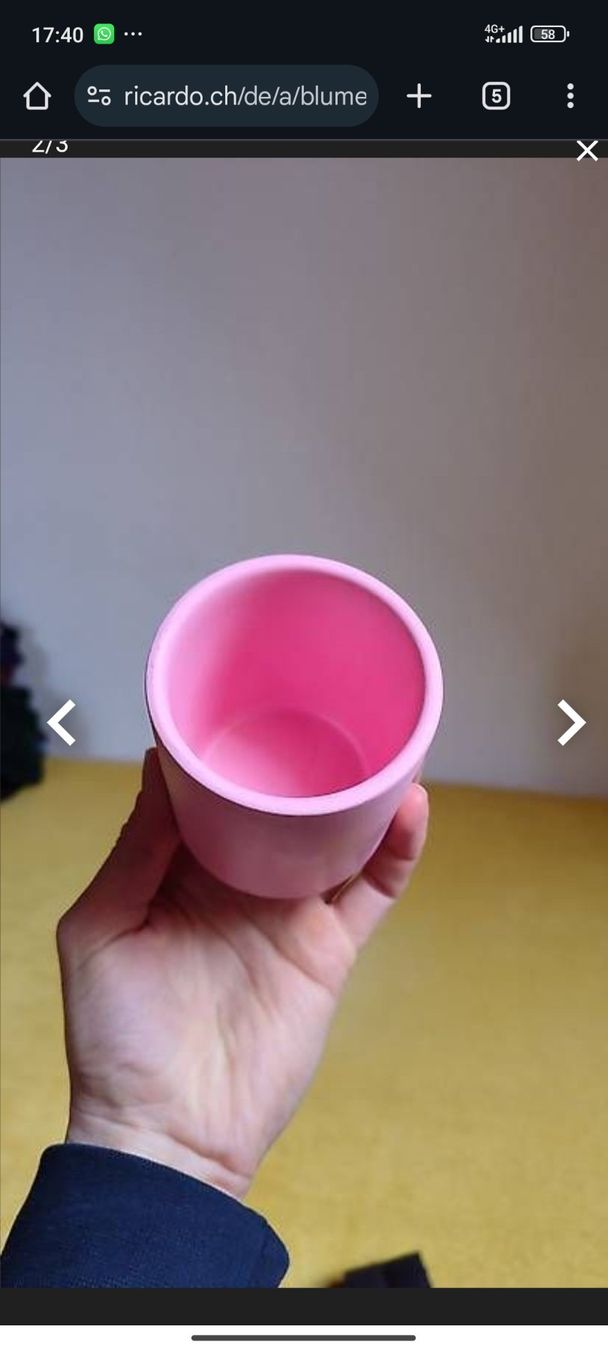 Maisons du monde Vasi per fiori: Blumentöpfe, Deko, Hängetöpfe, Übertöpfe, Sommer – Nuovo (secondo la descrizione) da Brüttisellen venduto da nic_xm7s 4
