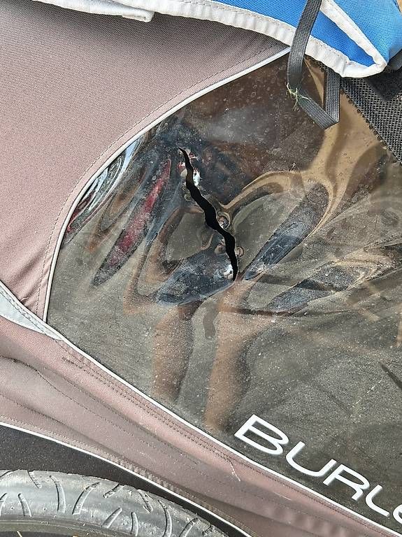Rimorchi: Veloanhänger Burley D'Lite – Usato da Aarau venduto da MyriamKlingler 1