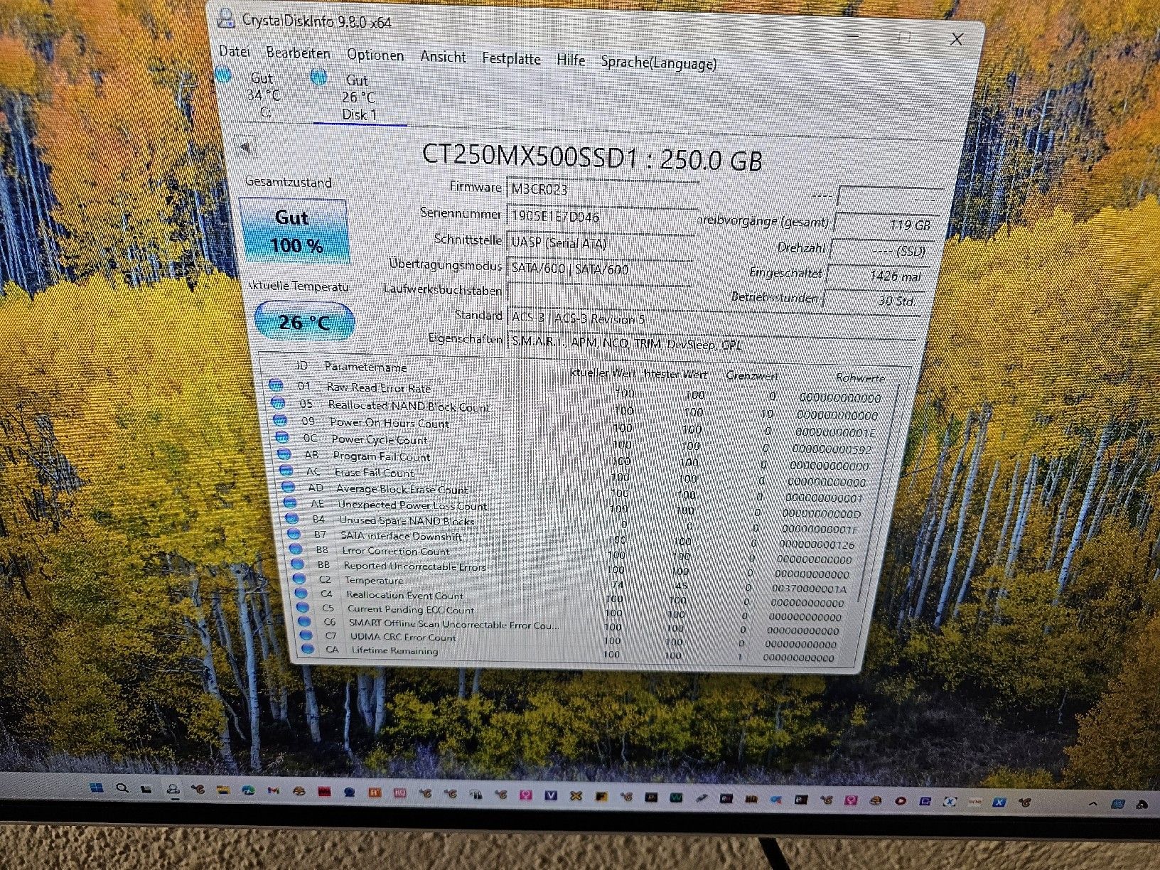 Dischi rigidi: 4 Festplatten a 250 Gb – Usato da Burgdorf venduto da weggu.666 2