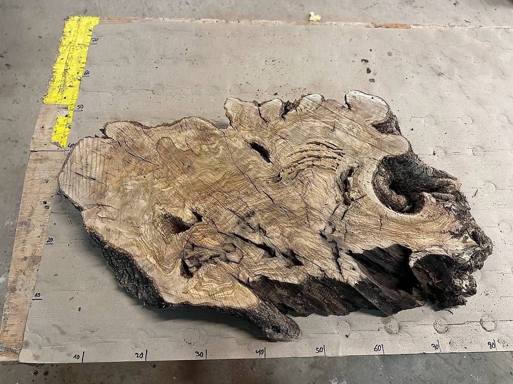 Articoli in legno: C-42 Olivenholz Wurzelscheiben Baumscheiben – Usato da Buus venduto da macipioji 1