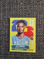 Panini COD 17