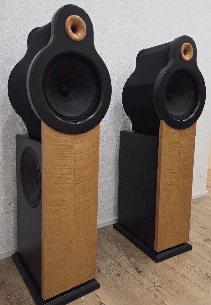 Casse acustiche: Bastanis APOLLO - Open Baffle Lautsprecher - TOP – Nuovo (secondo la descrizione) da Wald ZH venduto da RIVAAUDIOEMOTIONS 1