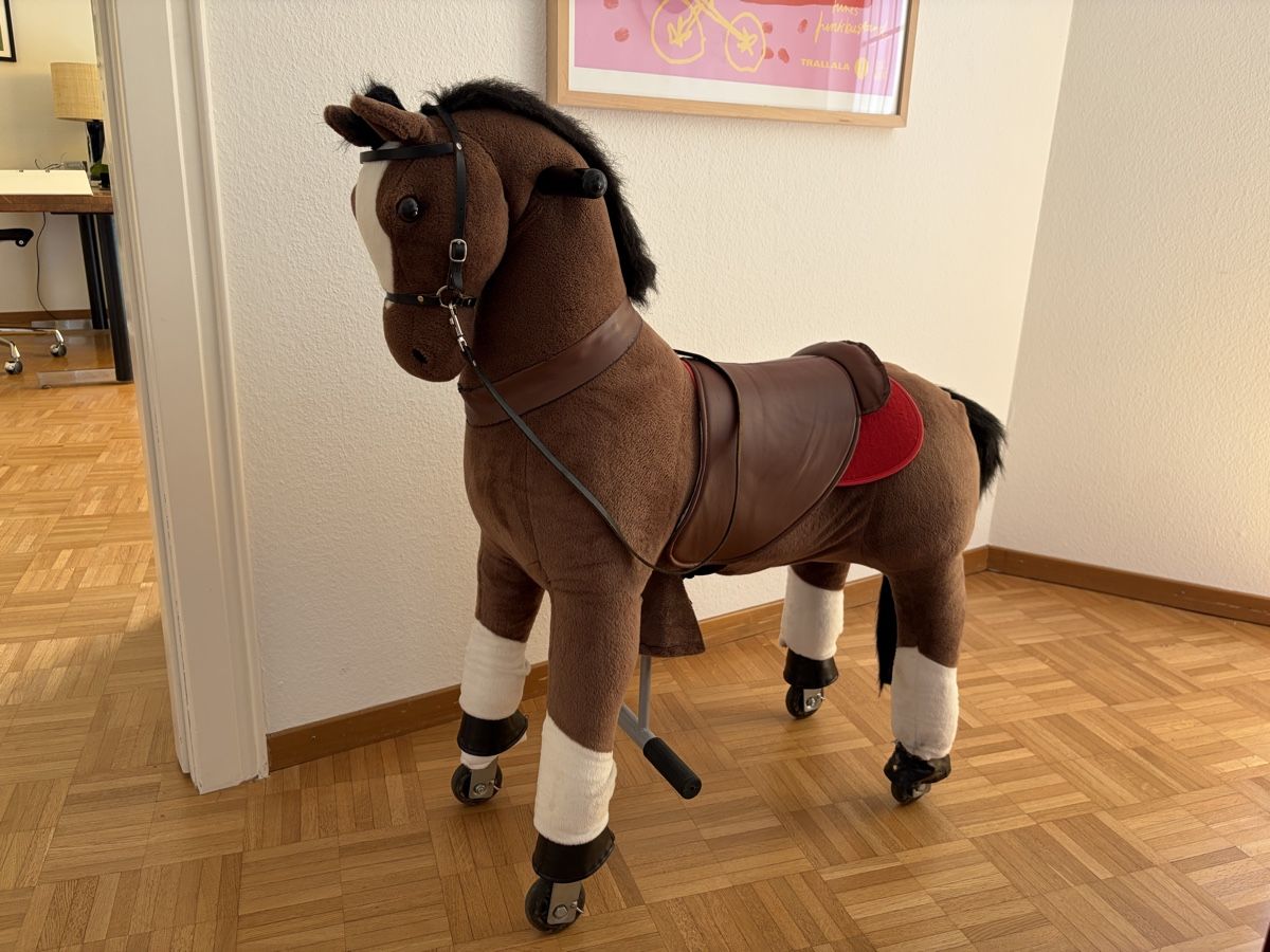 Veicoli per bambini: Spielpferd braun mit Rollen – Usato da Oetwil a.d. Limmat venduto da sisasuse 2