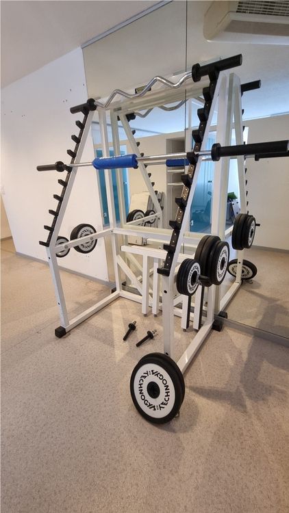 Technogym Rack mit Gewichten (Gebraucht) in Oberschan für CHF 500 – nur ...