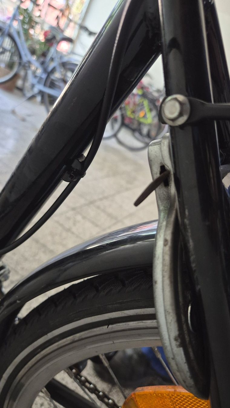 Biciclette: Damenvelo / vélo dames – Usato da Basel venduto da Cellostoffeli 6