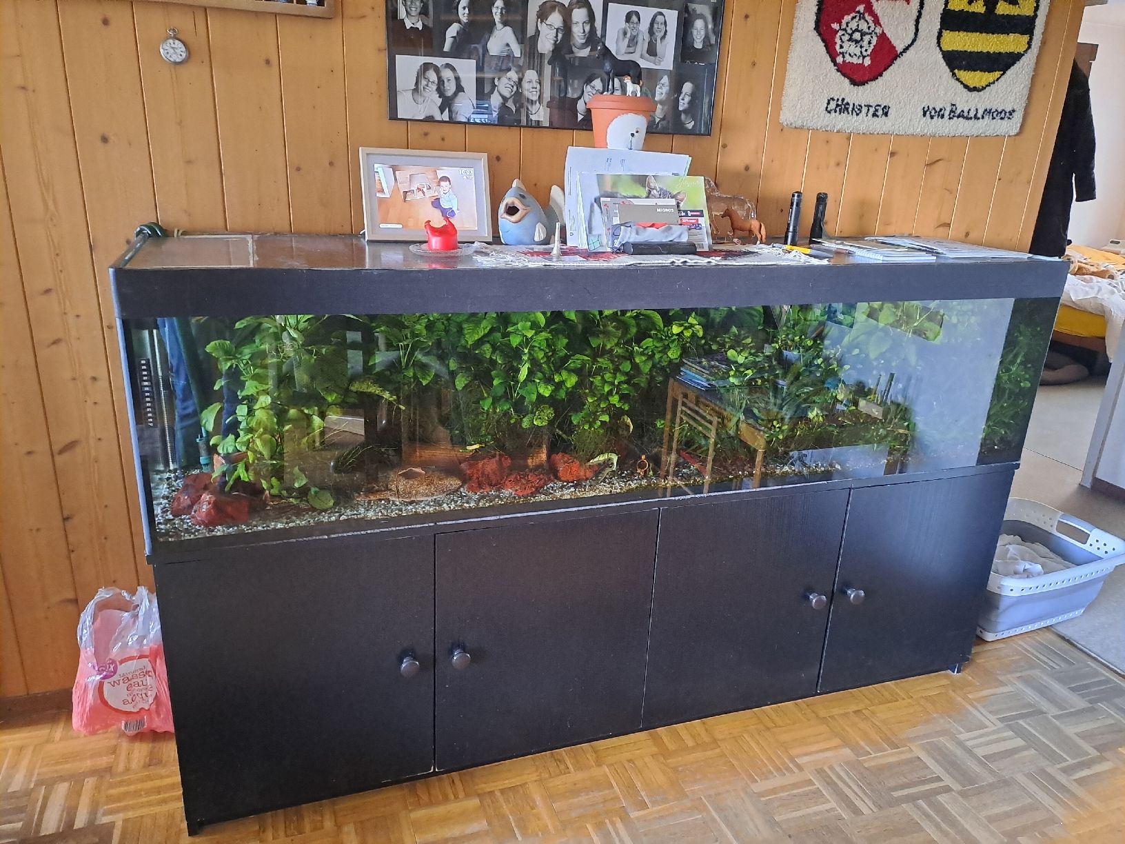 Acquari: Aquarium zu verkaufen – Usato da Jegenstorf venduto da bri_n6jl