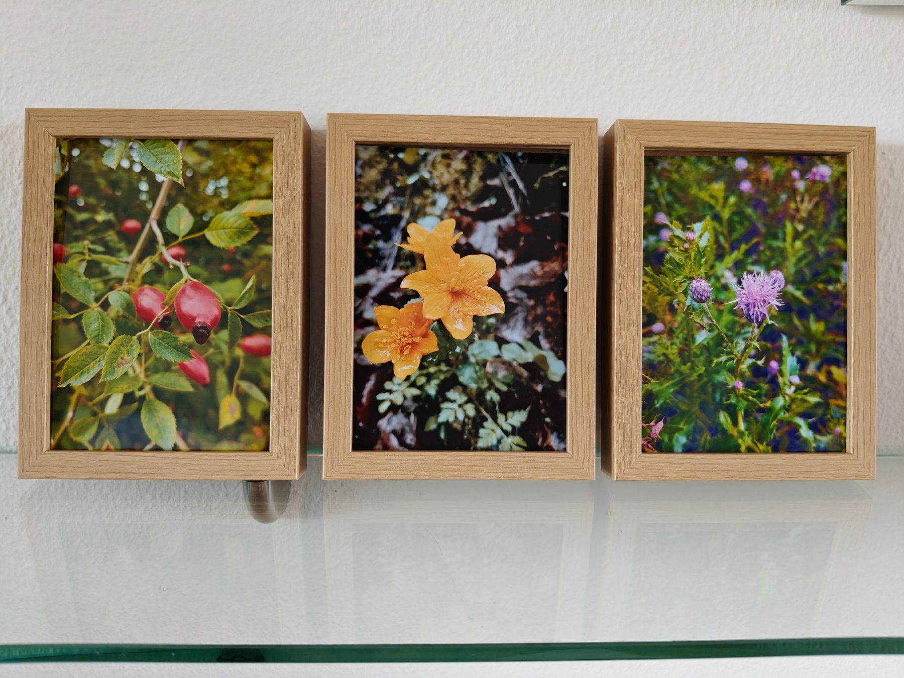 Foto & Immagini: Farbfotografie Herbst, drei Bilder – Nuovo e nell'imballaggio originale da Winterthur venduto da GDaniela