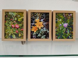 Farbfotografie Herbst, drei Bilder