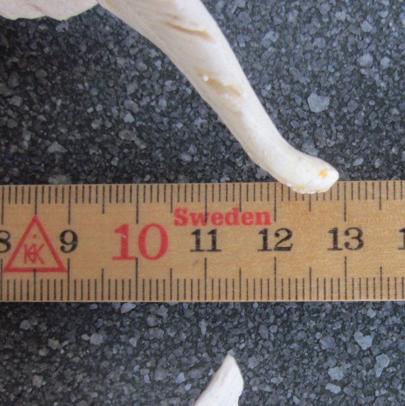 Statuette: Kniender Deko Engel, beige, Höhe 16 cm – Usato da Bischofszell venduto da Pfau0 7