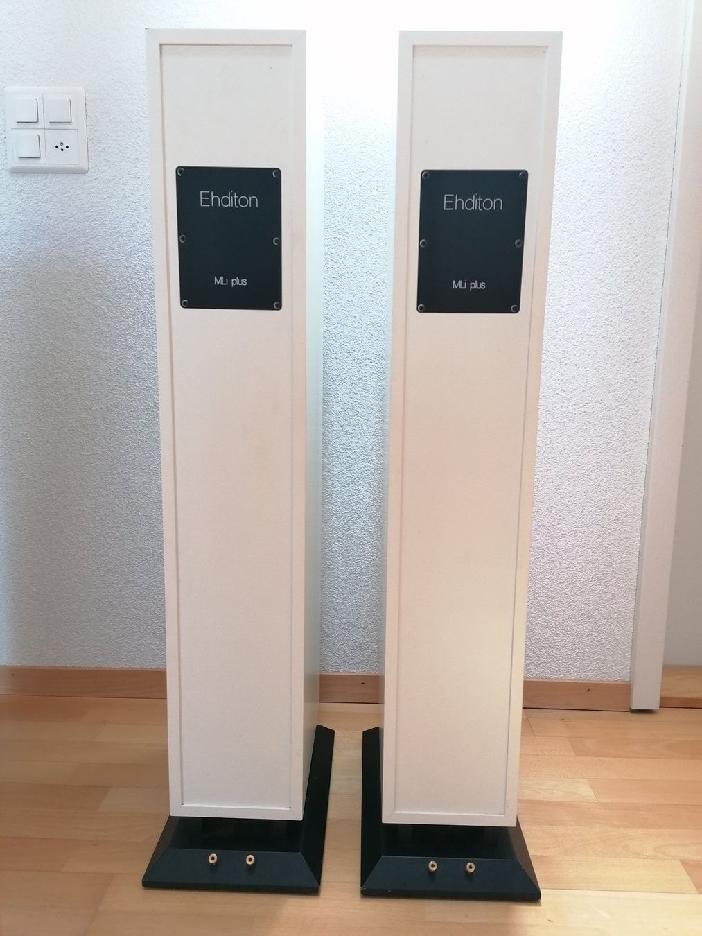 Casse acustiche: Sehr seltene Ehditon MLi plus Lautsprecher – Usato da Altikon venduto da willtell 4