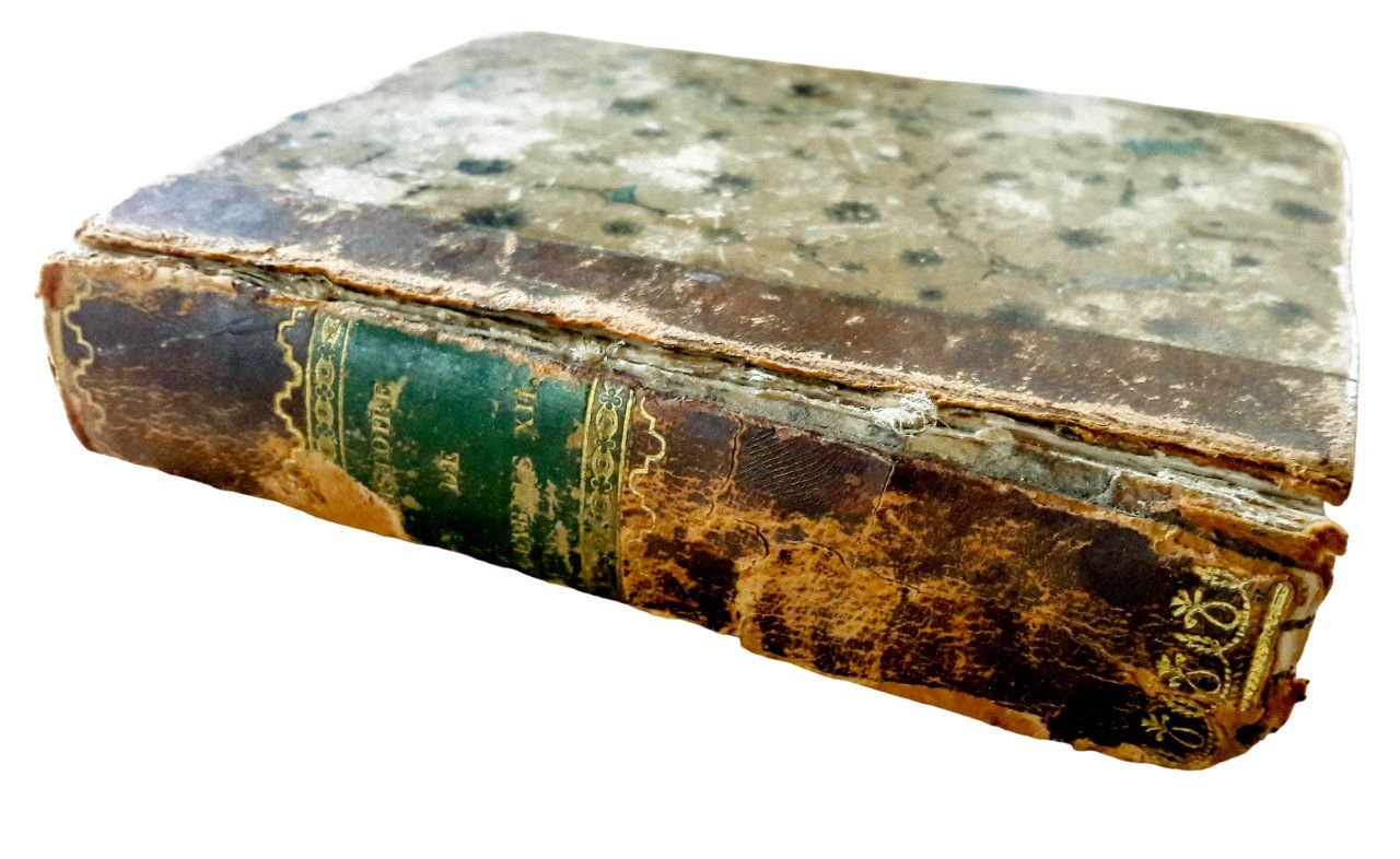 Libri: Histoire Charles XII Voltaire Leipzig Schaarschmidt 1832 – Usato da Tavannes venduto da Nekosumi 1
