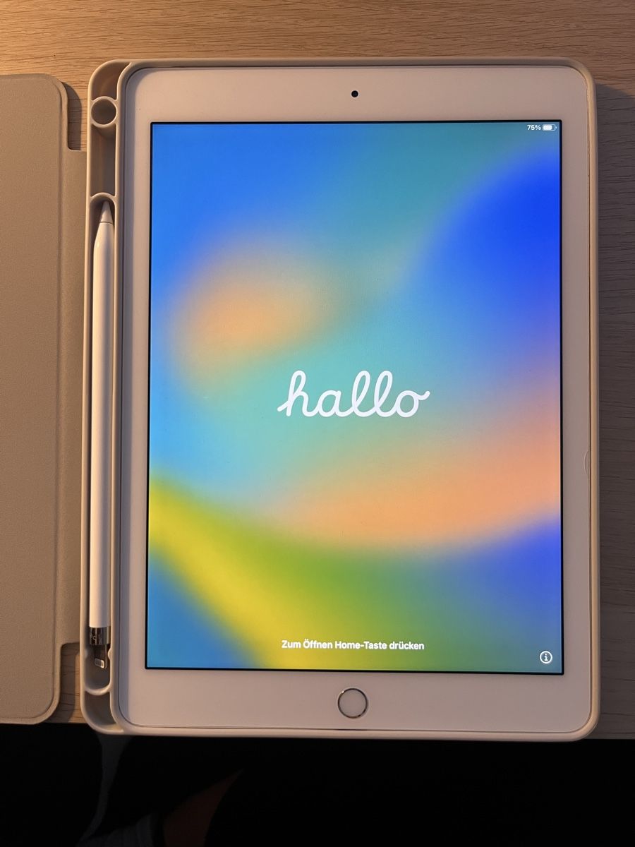 Apple Tablet PC: iPad Pro (9'7 Zoll) – Usato da Schlieren venduto da sur_9fy7 6