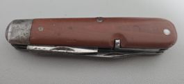 Elsner 41