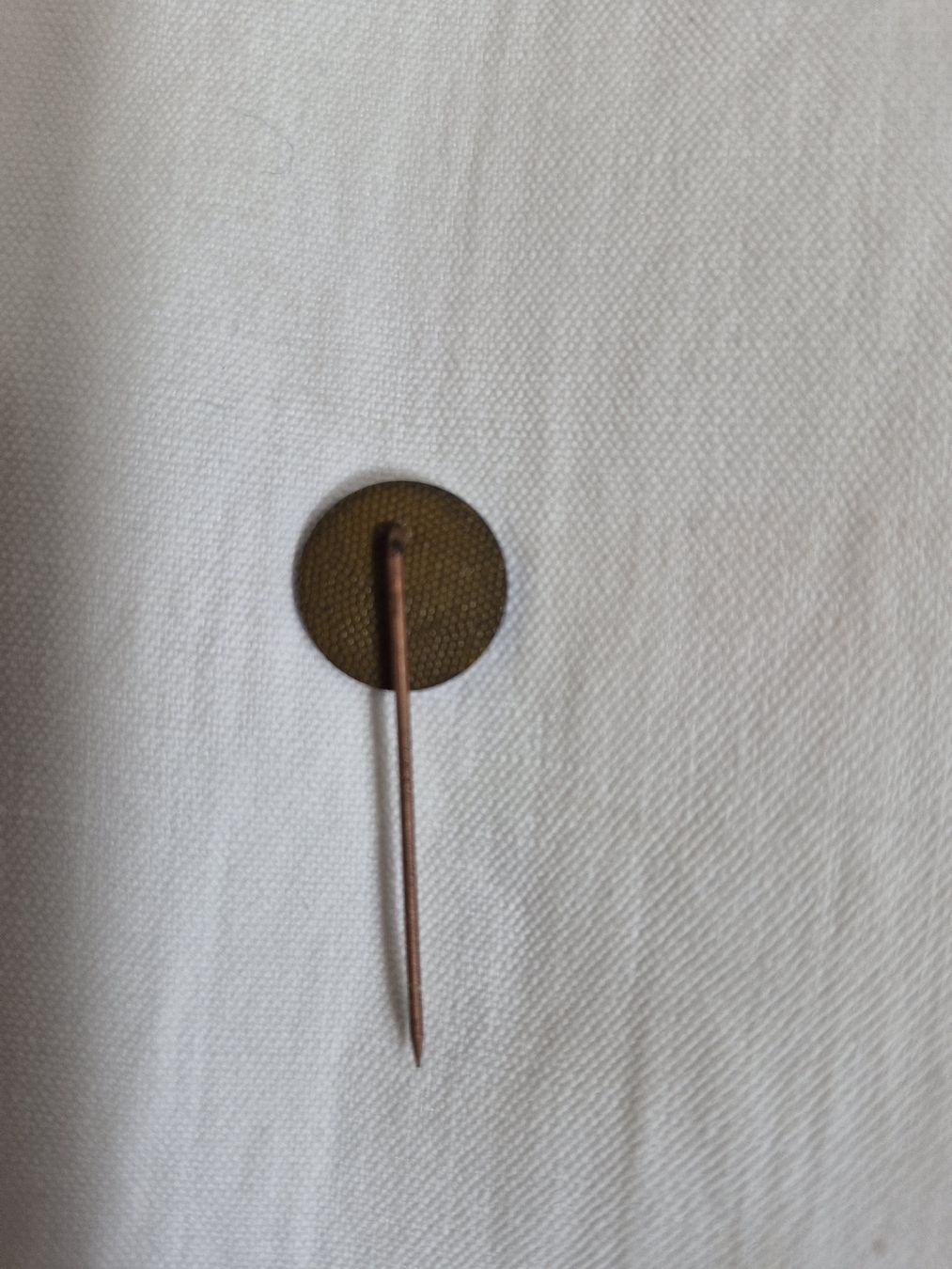 Saurer Placchette & Badge: Saurer Anstecknadeln  – Usato da cazis venduto da meeroo12 1