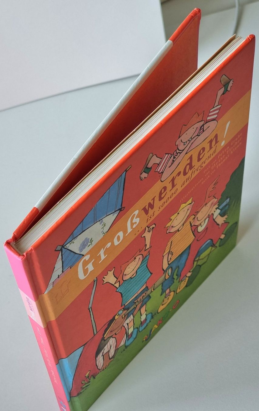 Libri: Buch + CD GROSSWERDEN IST SO AUFREGEND 3j. Lieder Geschichte – Usato da Dürnten venduto da Bachtelrider_ 4