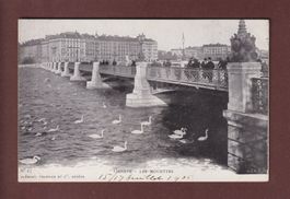 GENEVE - Les Mouettes