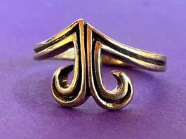 Silberring double (54/17)