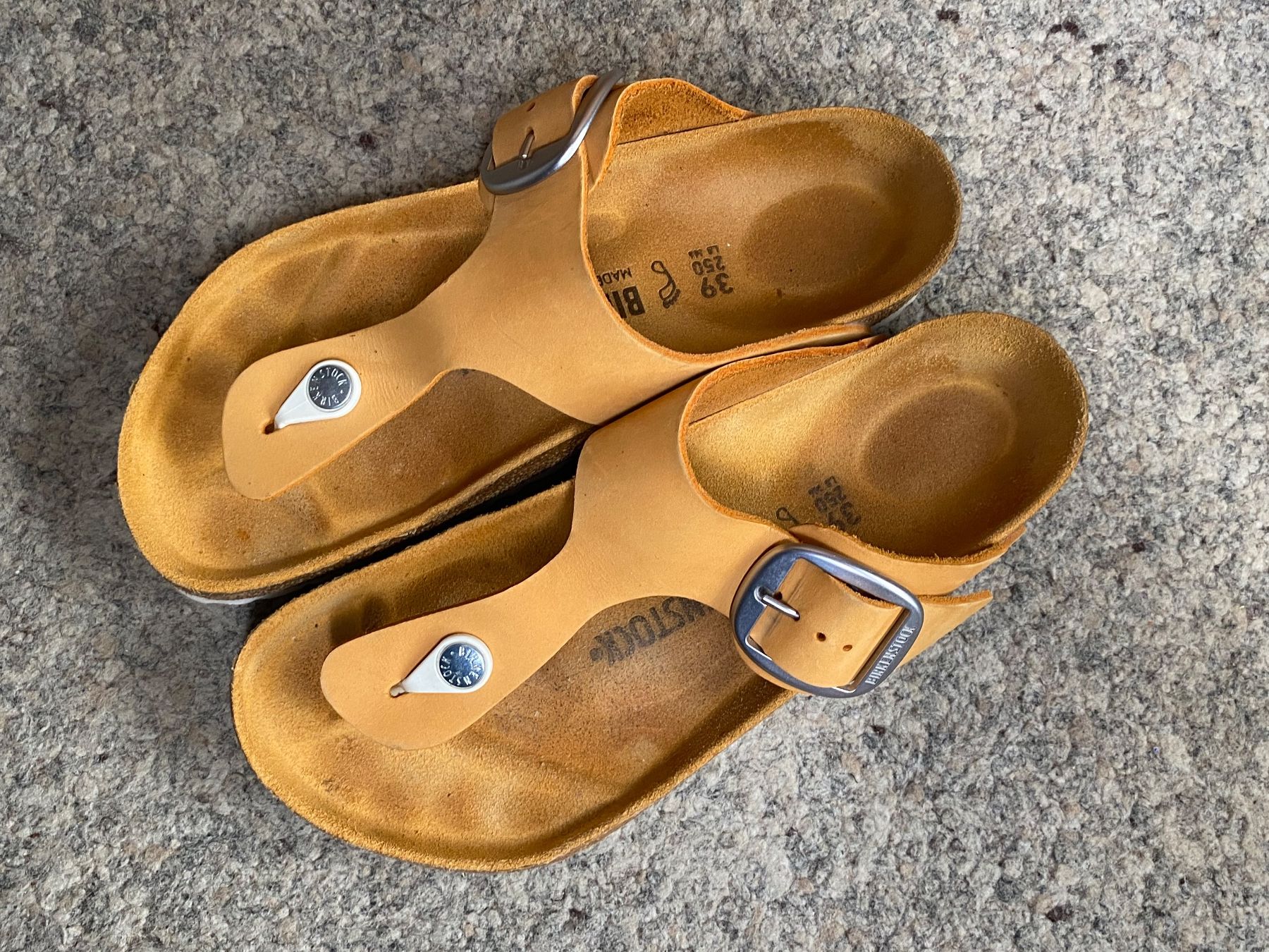 Birkenstock Scarpe da donna: Birkenstock Gizeh Big Buckle Gr. 39 – Usato da Wattwil venduto da edel88 1
