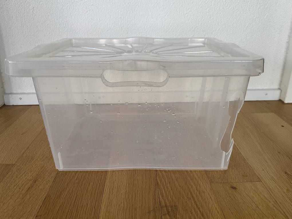 Casse di trasporto: Aufbewahrungbox mit Deckel – Usato da Bern venduto da mon_2lbl 1